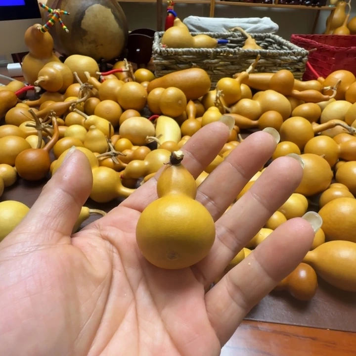 农***拳精品课程等教学内容进行