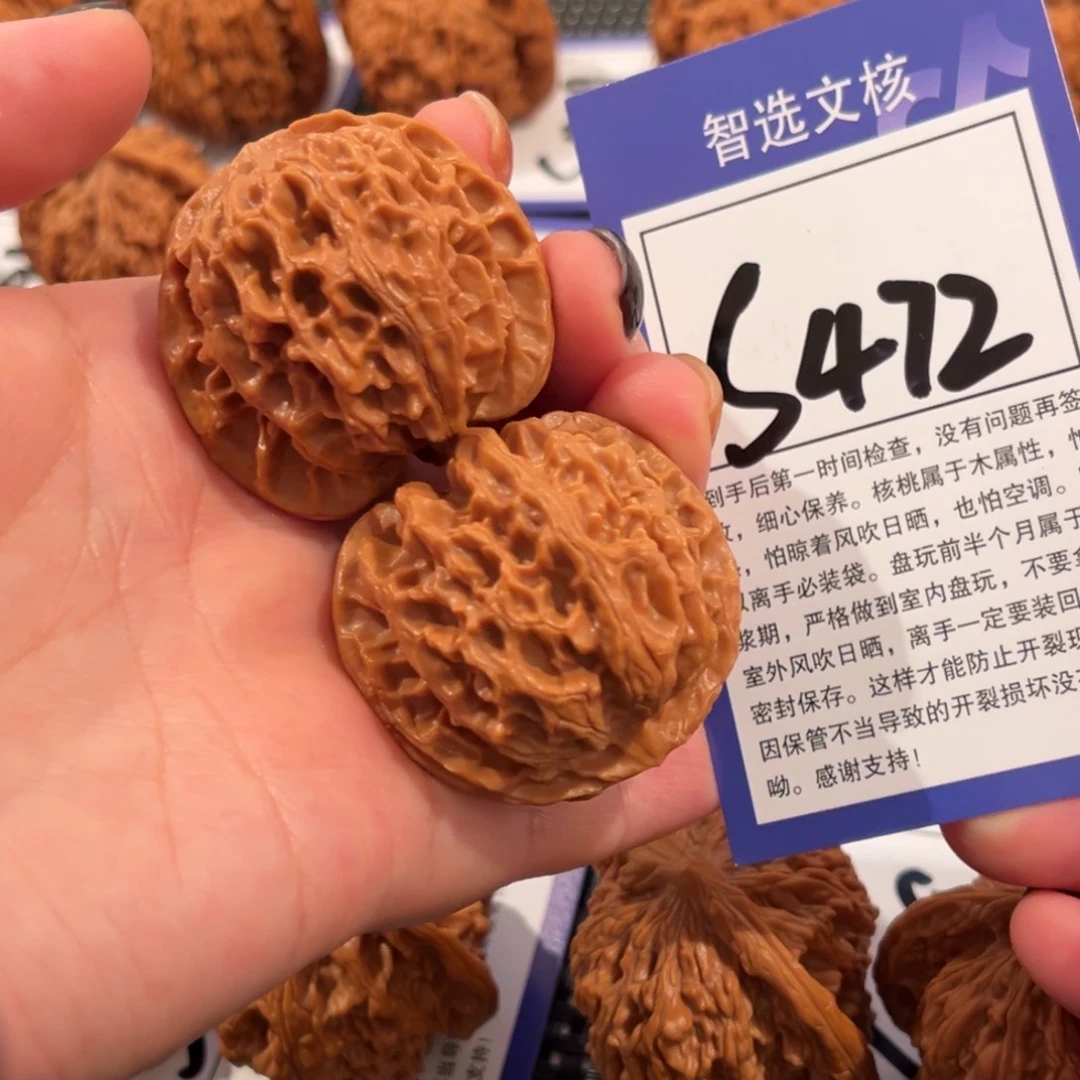 核桃S472号苹果园40尺