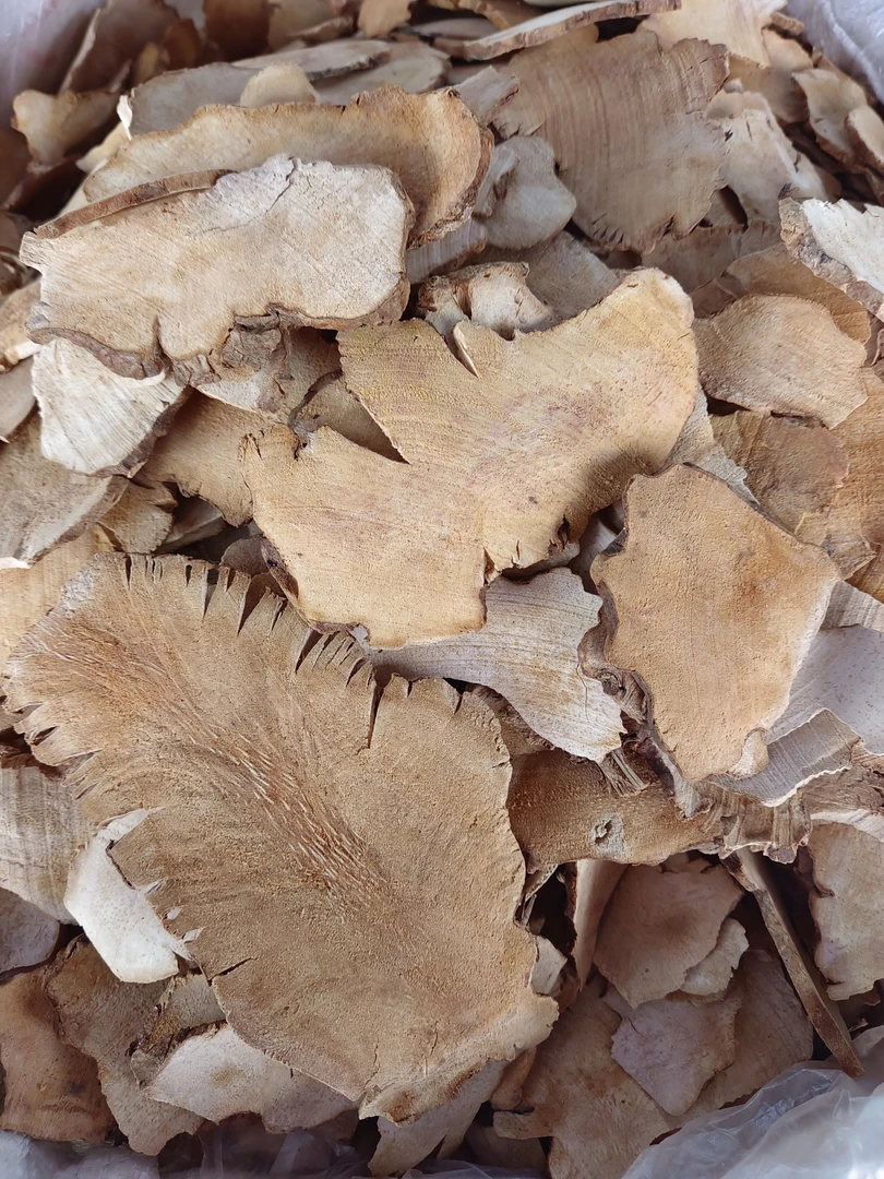 野生粉质土茯苓，特选，无硫