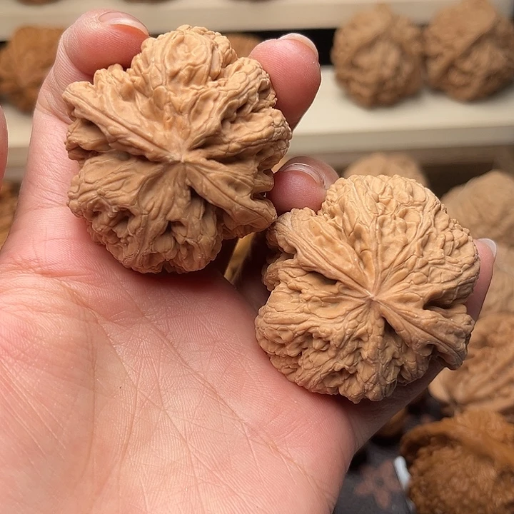 核桃46全品大粗筋