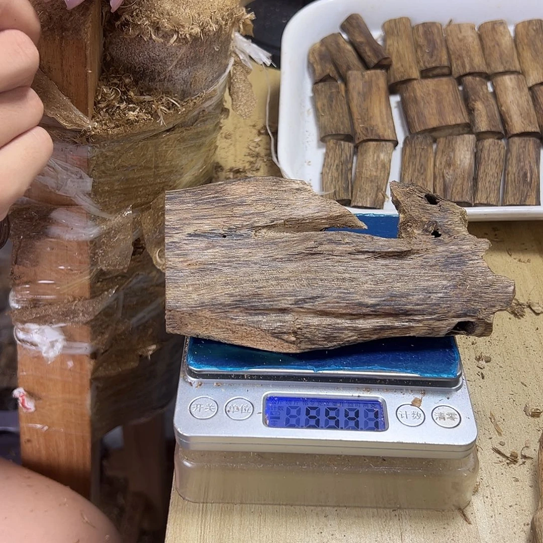 香料绿奇楠虫漏乌身55克