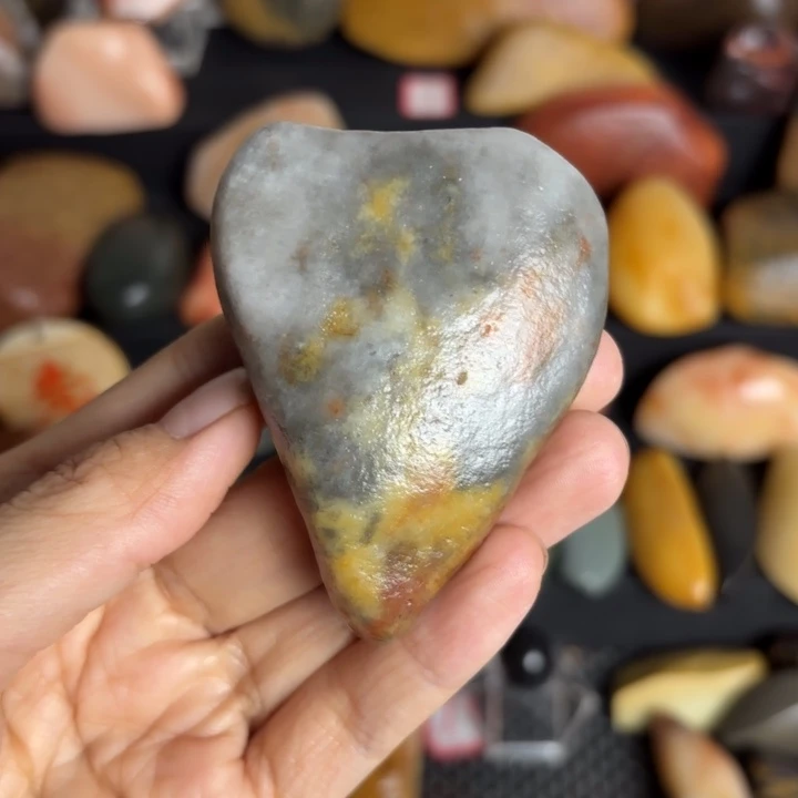 开播来拍花彩啦哈