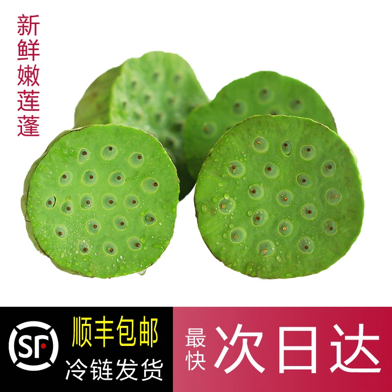 【加冰顺丰发货】新鲜水果嫩莲蓬生吃水果莲蓬新鲜蔬果应季现摘清甜