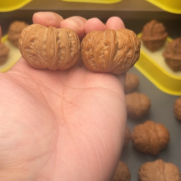 41尺精配头货平谷元宝