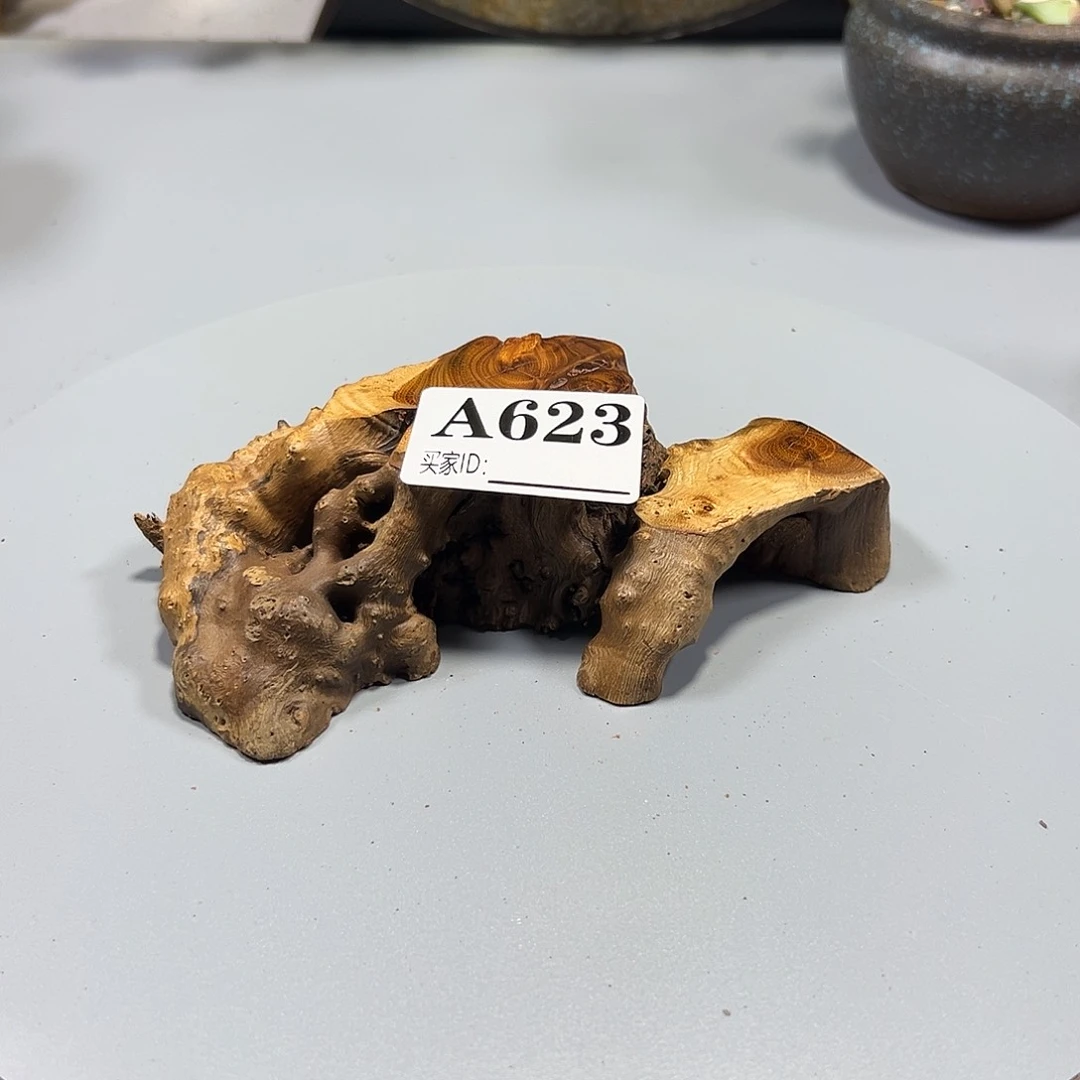 大果紫檀（缅甸花梨）路*