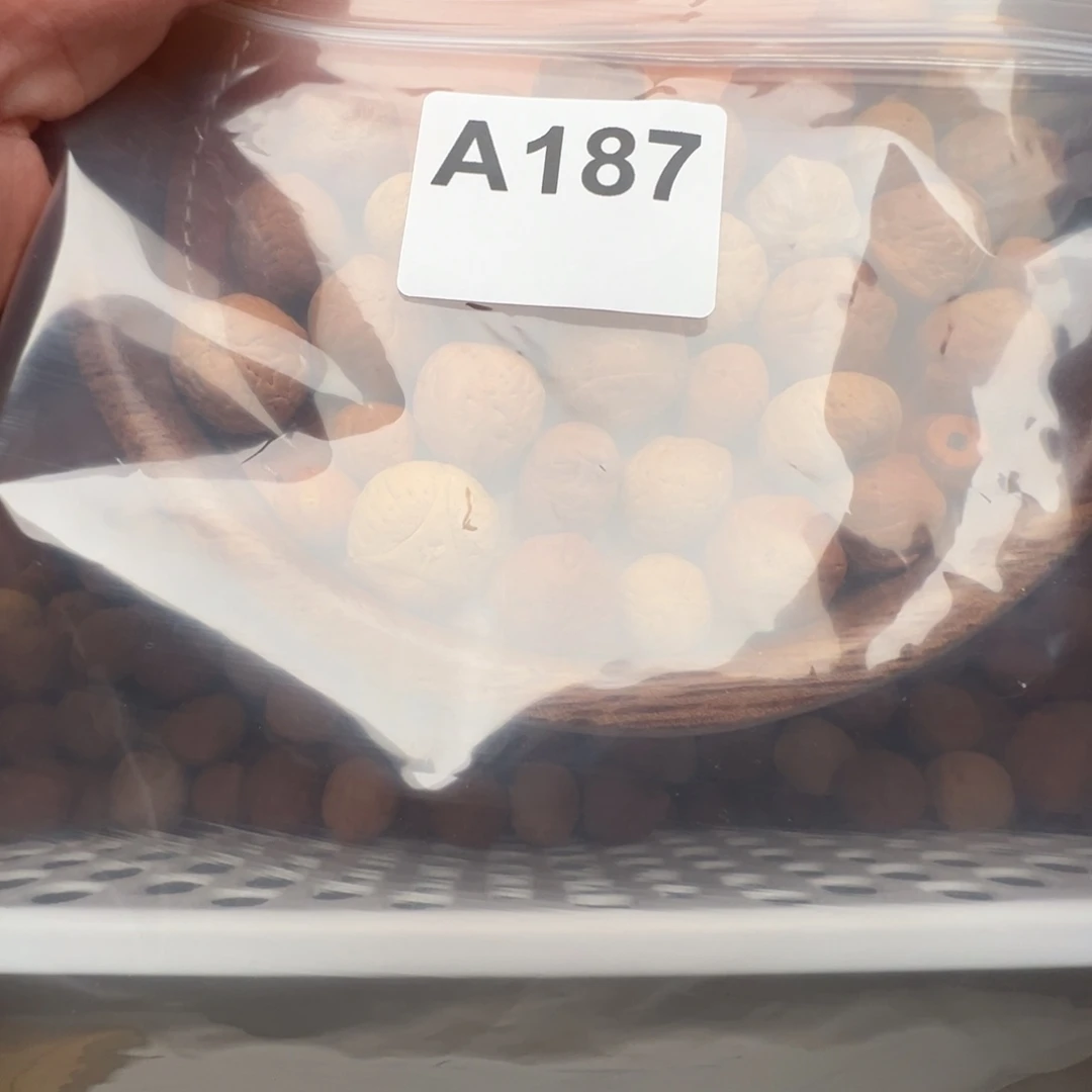 蛋***蛋凤眼菩提吊坠散籽