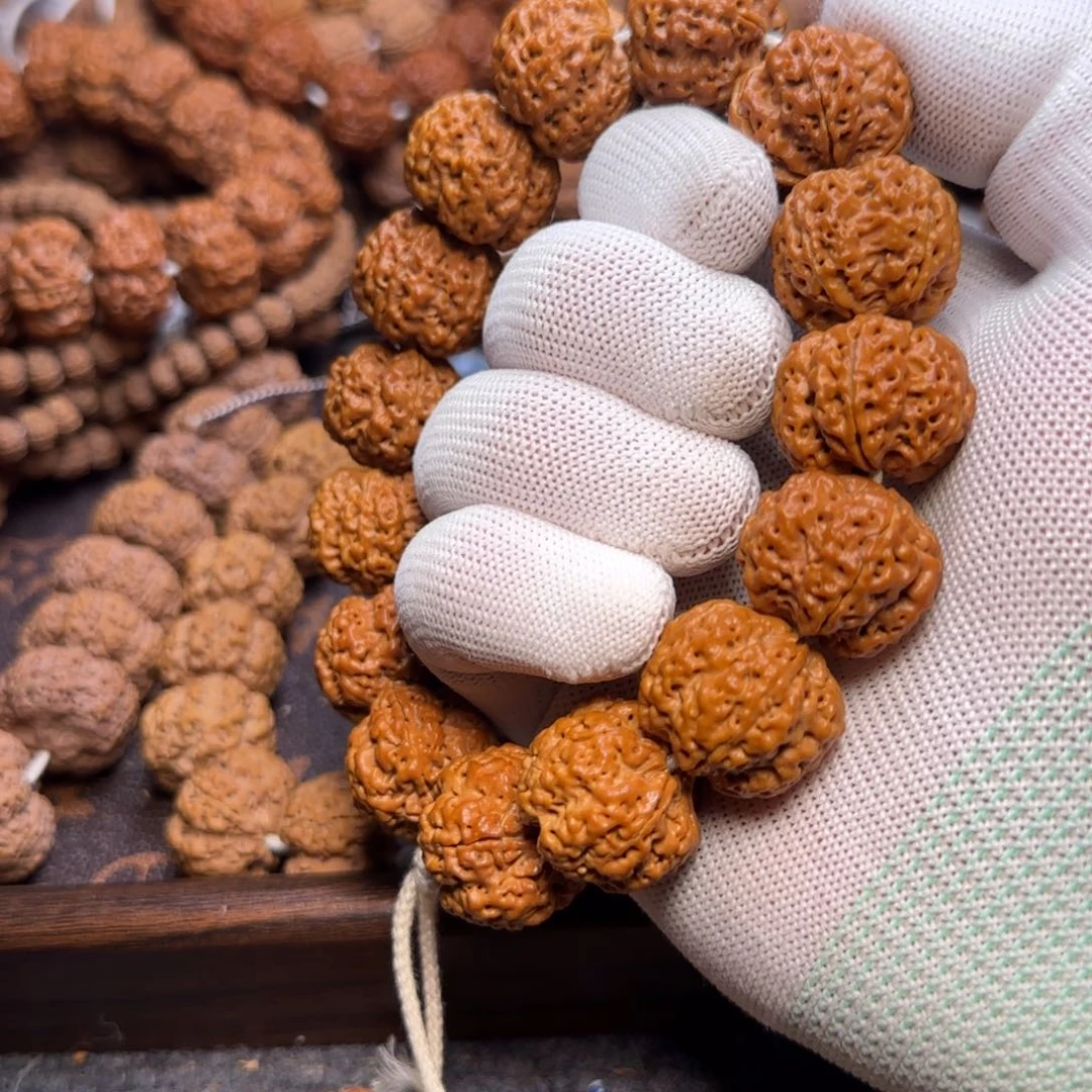 航***.菩提金刚菩提23深沟满肉