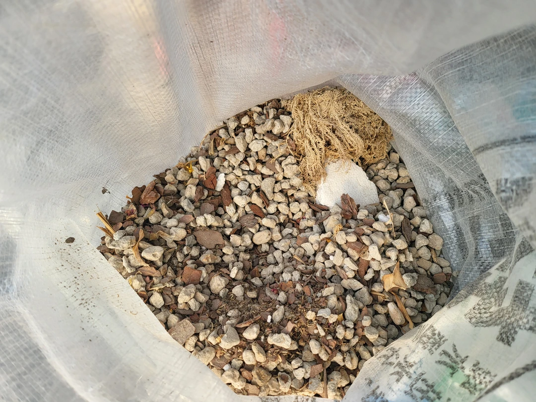 兰花（蝴蝶兰）轻石三斤