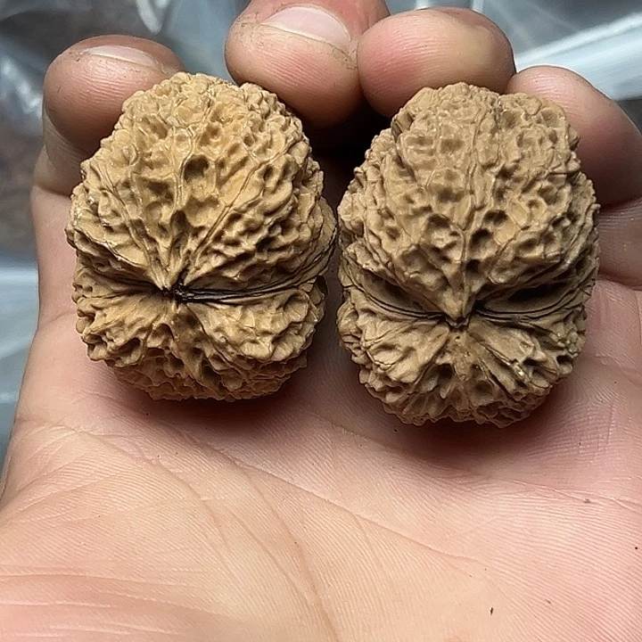 把件文玩核桃46号铁狮元宝42尺