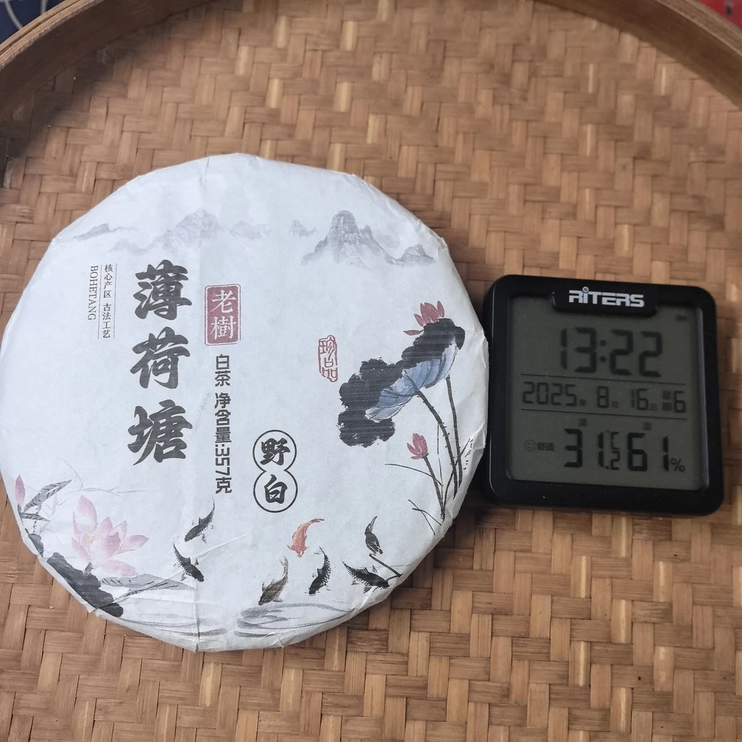 2022年薄荷塘野白老树普洱白茶饼357克H1号8月16日