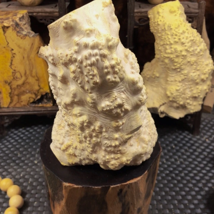 木随*了木料木料木料木料