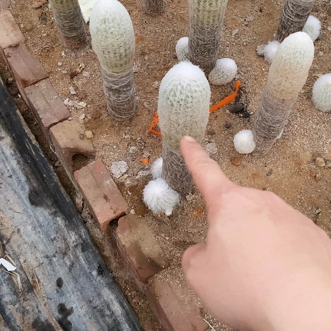 冰***原000000000900000000