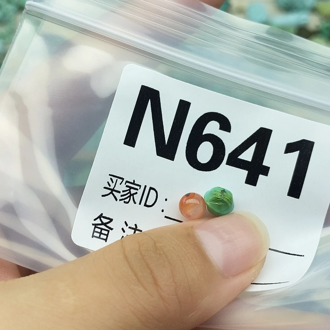 未镶嵌配饰南红玛瑙