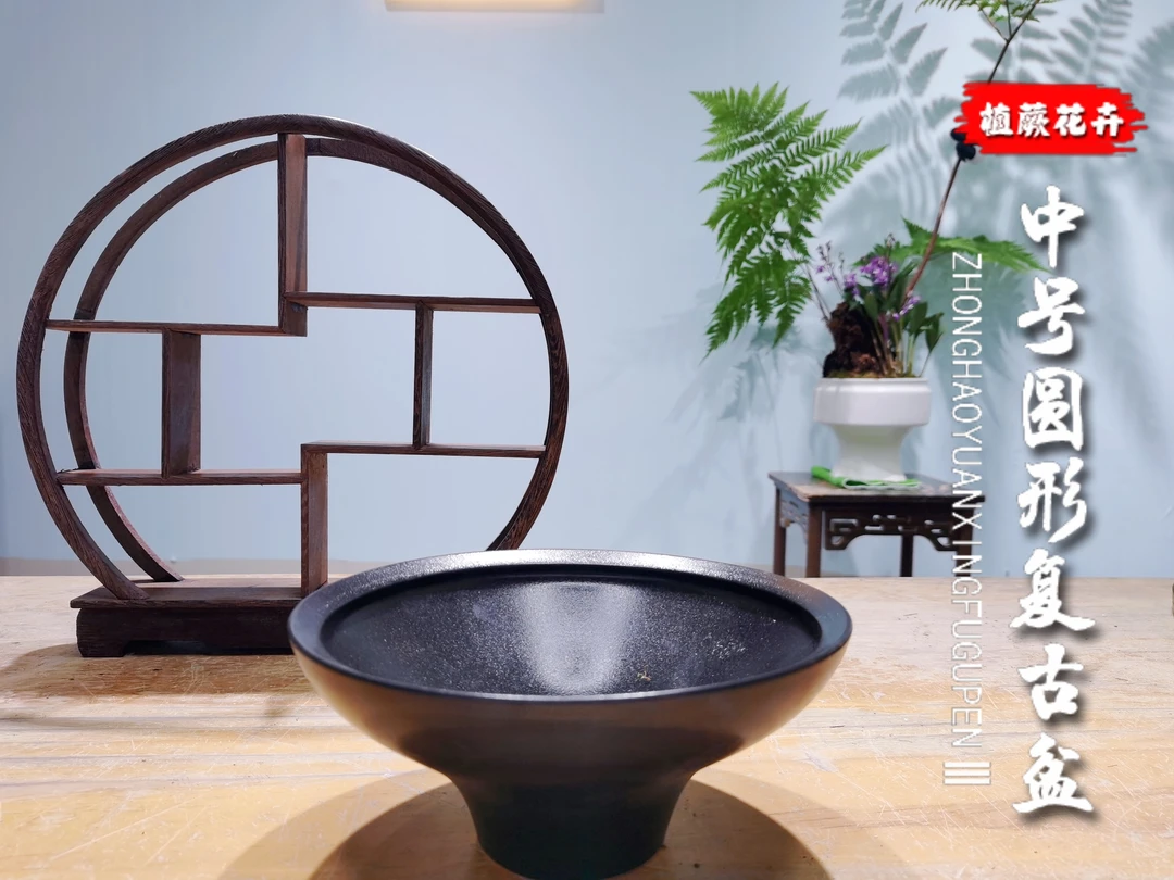 中号水培款复古圆形花盆