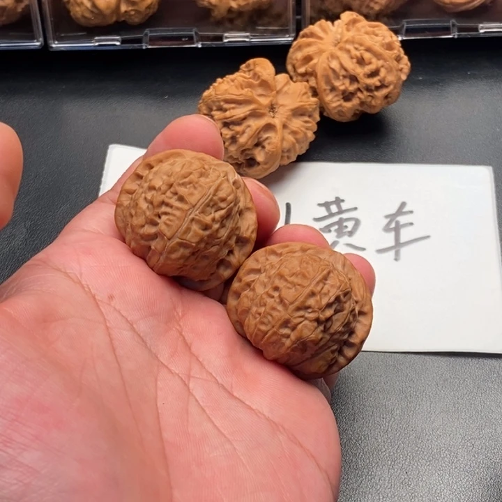 37+全品无修南瓜墩