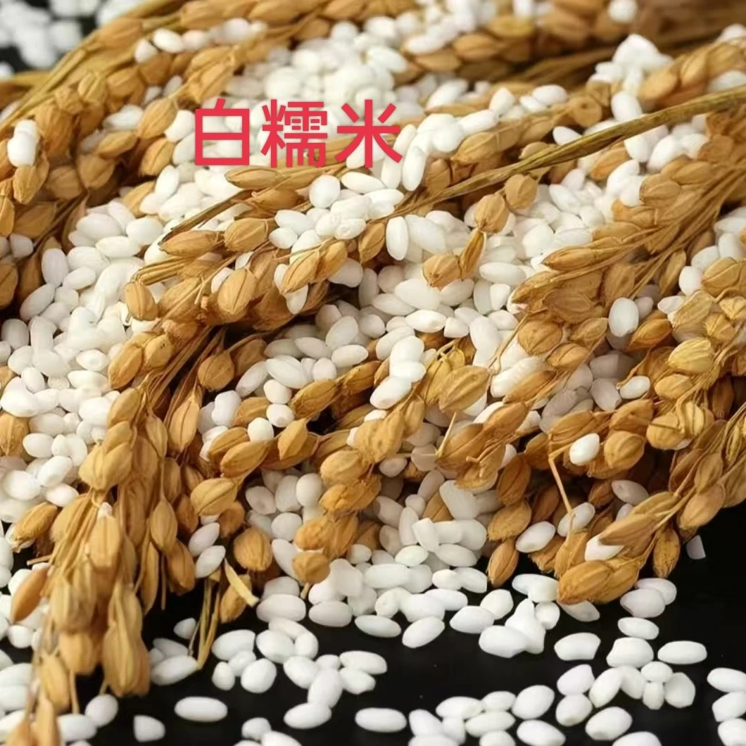 【土妹家】山地白糯米