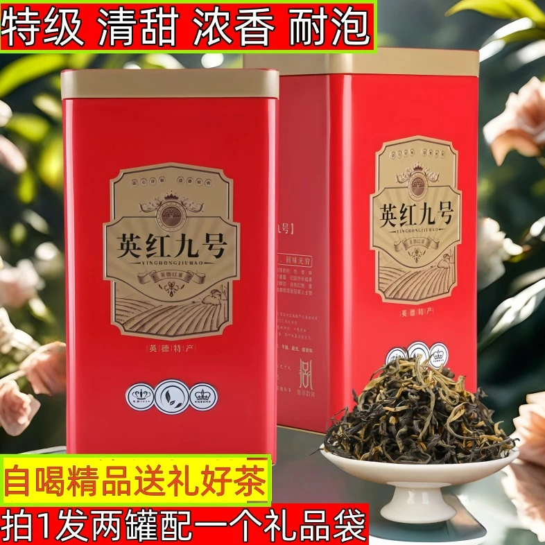 2024新茶正宗英德红茶英红九号1959红茶散装礼盒装300g英九红茶叶