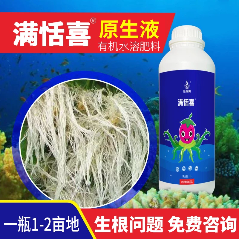 满恬喜章鱼根增肥丝瓜豆角茄子空心菜柑橘辣椒西葫芦强力生根壮根