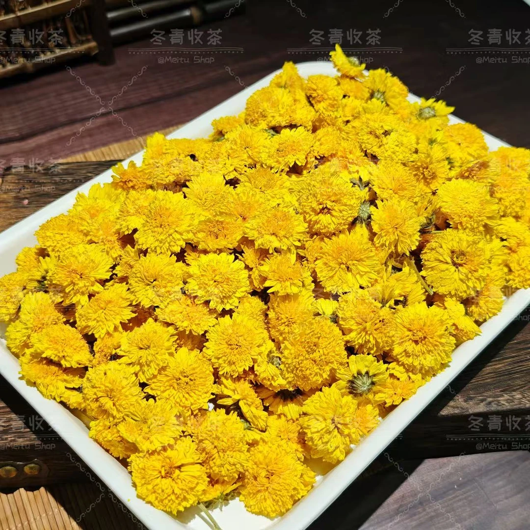 明月山金蕊皇菊 江西核心产区 泉水甜 鲜甜香浓 冬青收茶
