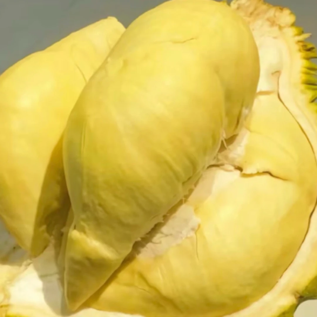 泰国金枕榴莲  9.14斤  245