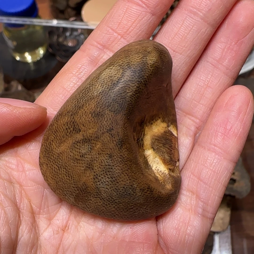 沉香沉香碎屑奇楠小包头10克