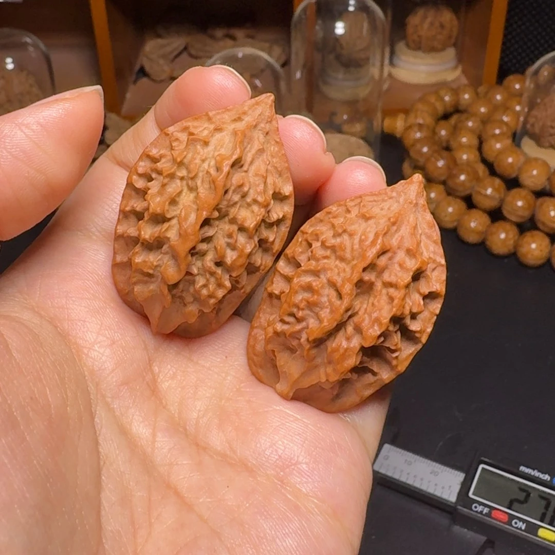 文玩核桃把件断齿龙骨
