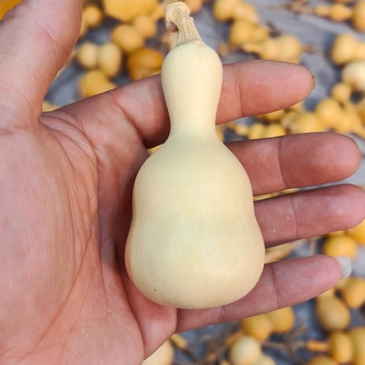 永***调文玩葫芦八宝葫芦