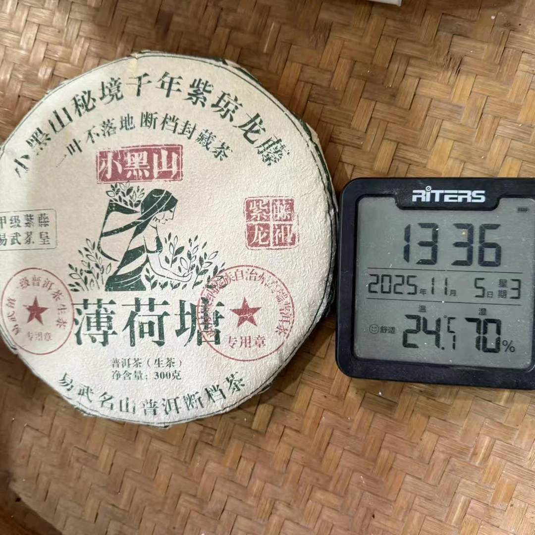 25年易武薄荷塘小黑山千年紫琼龙腾普洱生茶饼300克YH1号11月5日