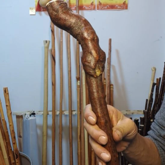 友***记秦岭石山红荀子，牛筋木