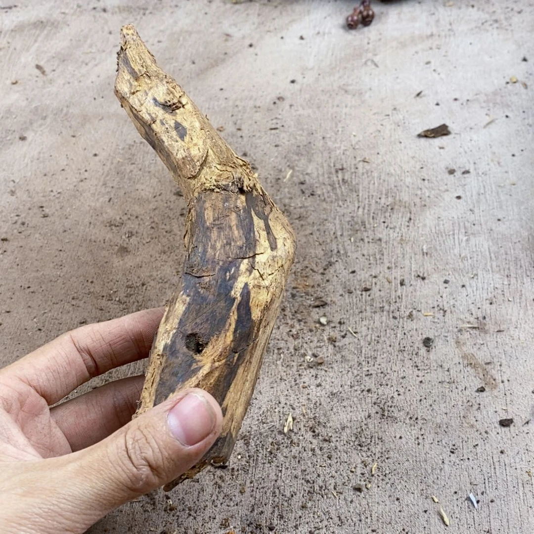 黄花梨/降香黄檀用****7