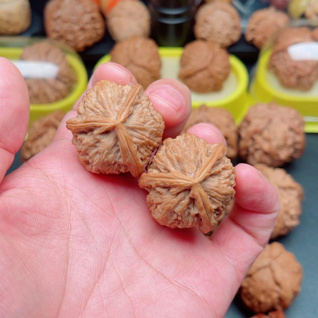 把件文玩核桃白狮子三棱33×32×32