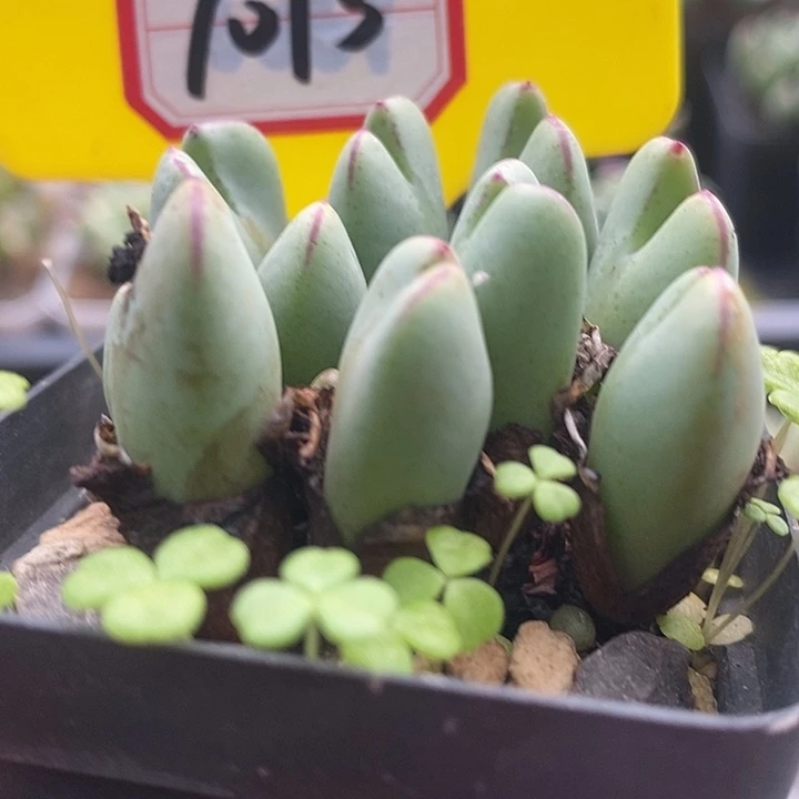 今天晚上不回来吗今天7013
