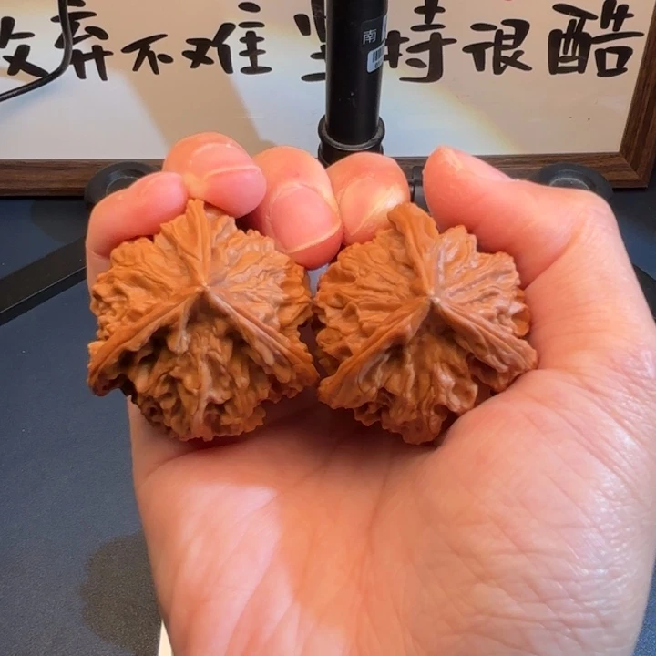核桃转圈40盘山三棱
