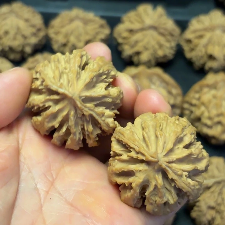 用***8把件文玩核桃秦岭灯笼19