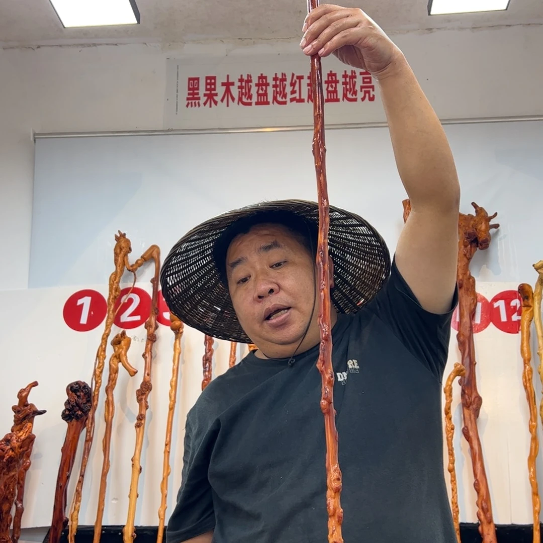 梦***寐黑果木其他黑果木080