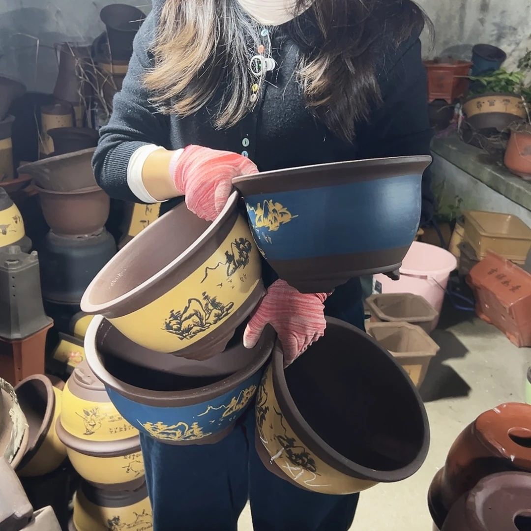 21+21黄色三角金钟+21+21蓝色三角金钟