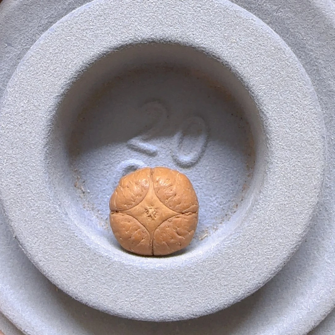 手串凤眼菩提19mm麒麟微裂0@993