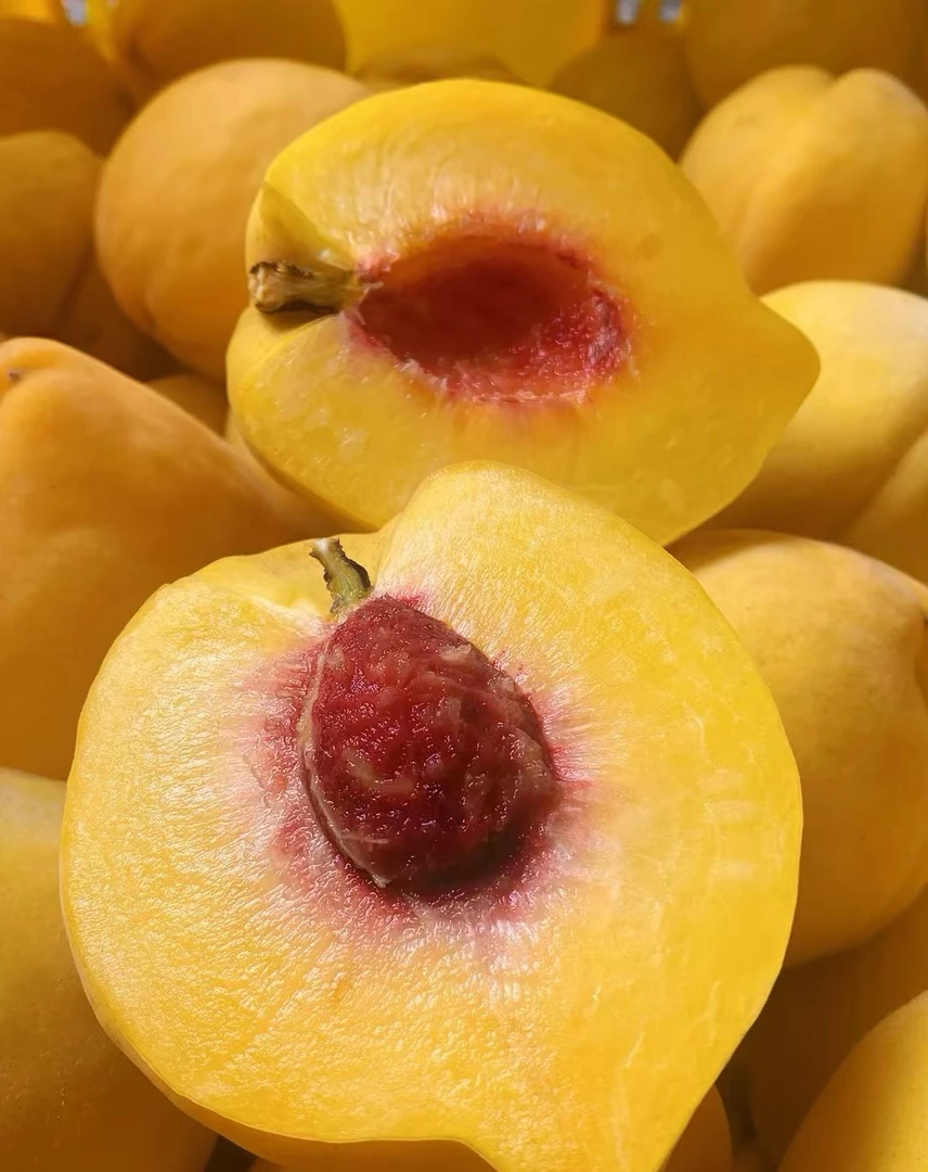 广元虎跳驿黄桃爆汁脆软两吃新鲜应季水果5斤礼盒装