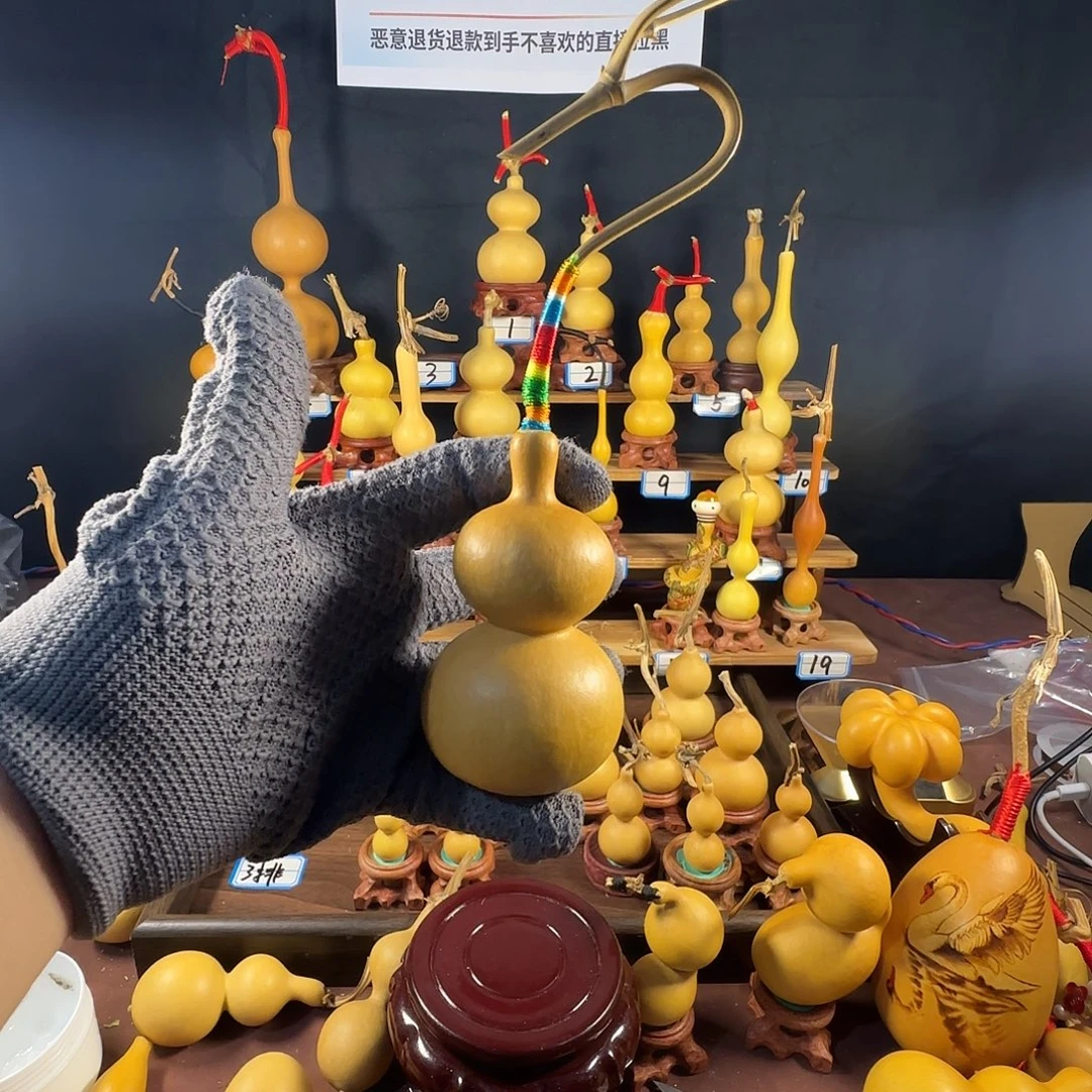 v***s1112112221211122112