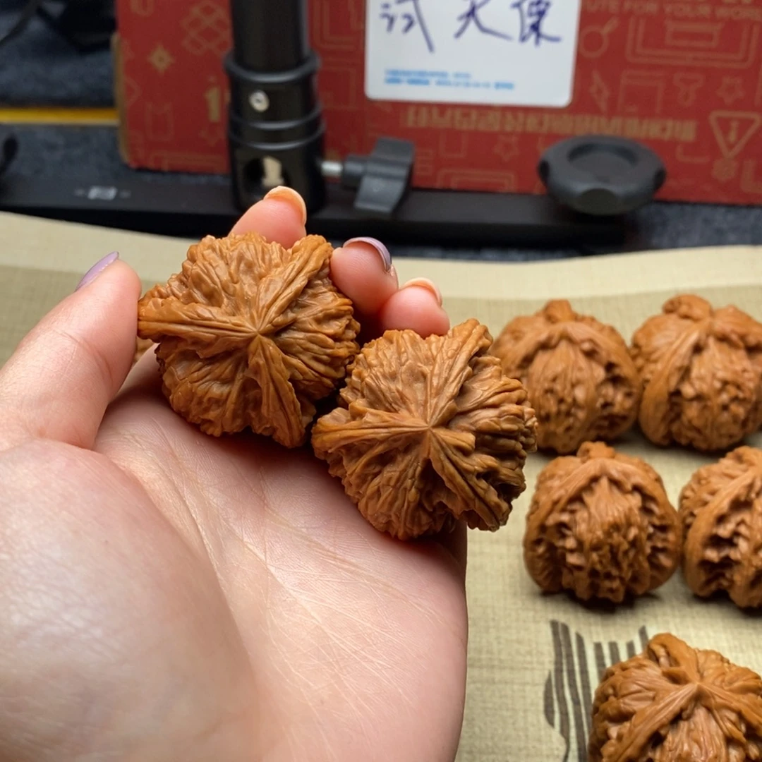 志***远白狮子11111111111