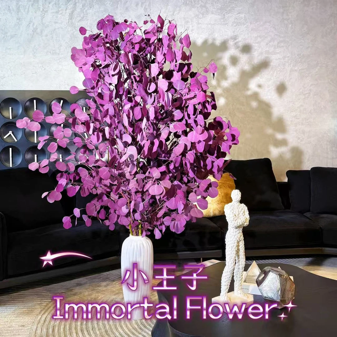 爆款年销花慕山紫色尤加利苹果叶室内摆放绿植轻奢款