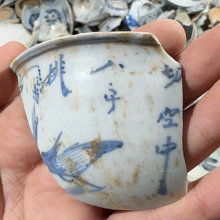 瓷片瓷片标本，顺丰包邮