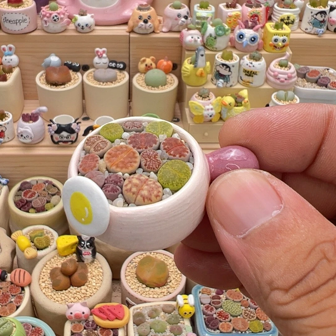 多肉植物实付9.9元包邮12号