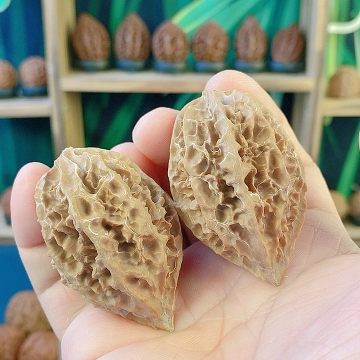 吊坠文玩核桃033刺鳞甲