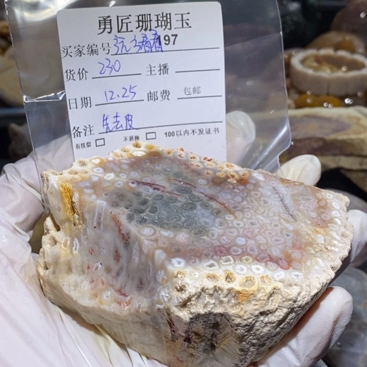 【闪购商品】未镶嵌珊瑚玉硅化玉我****看