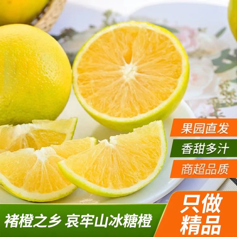 正宗云南高原哀牢山冰糖橙农家自种现摘现发清甜多汁爽口z