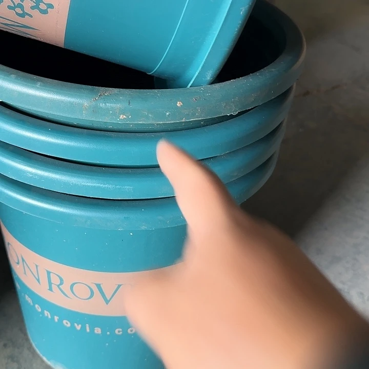 编号是079号的079号的