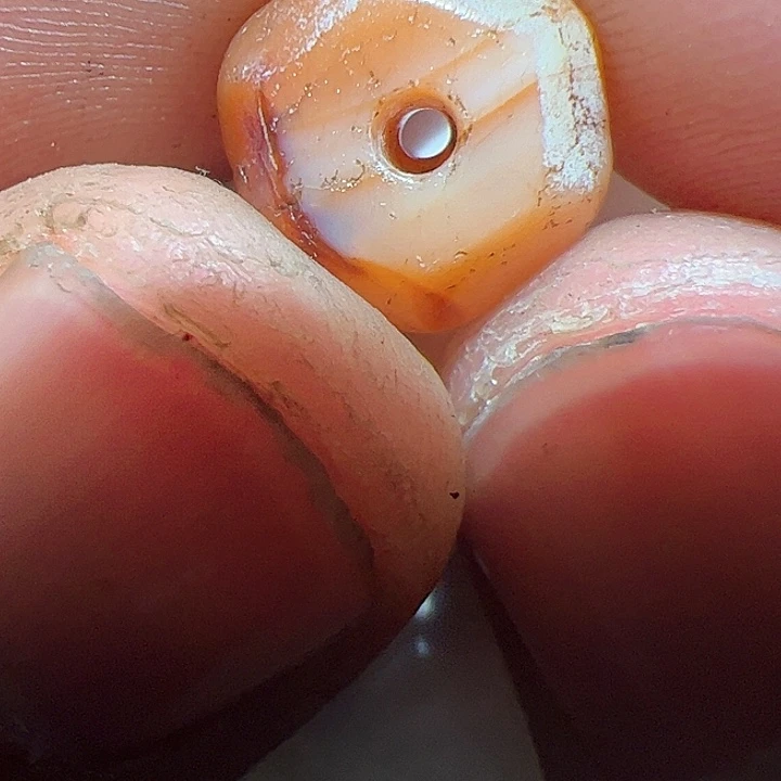 香榧木你的时候你