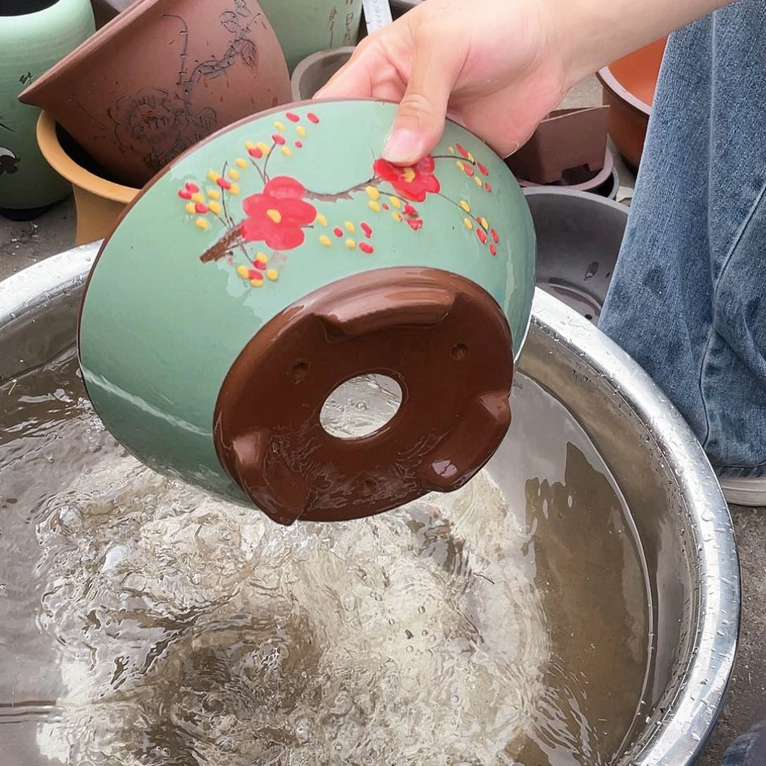 绿斗盆点菜中号花盆紫砂花盆