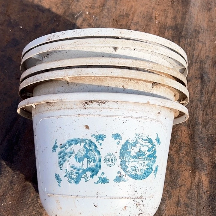 塑料口径24 一组6个